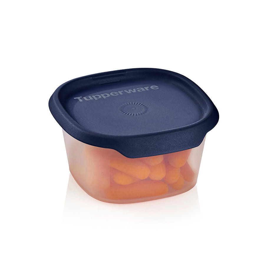 Airtight Food Storage Container 1.5 Cup | One Touch Fresh™