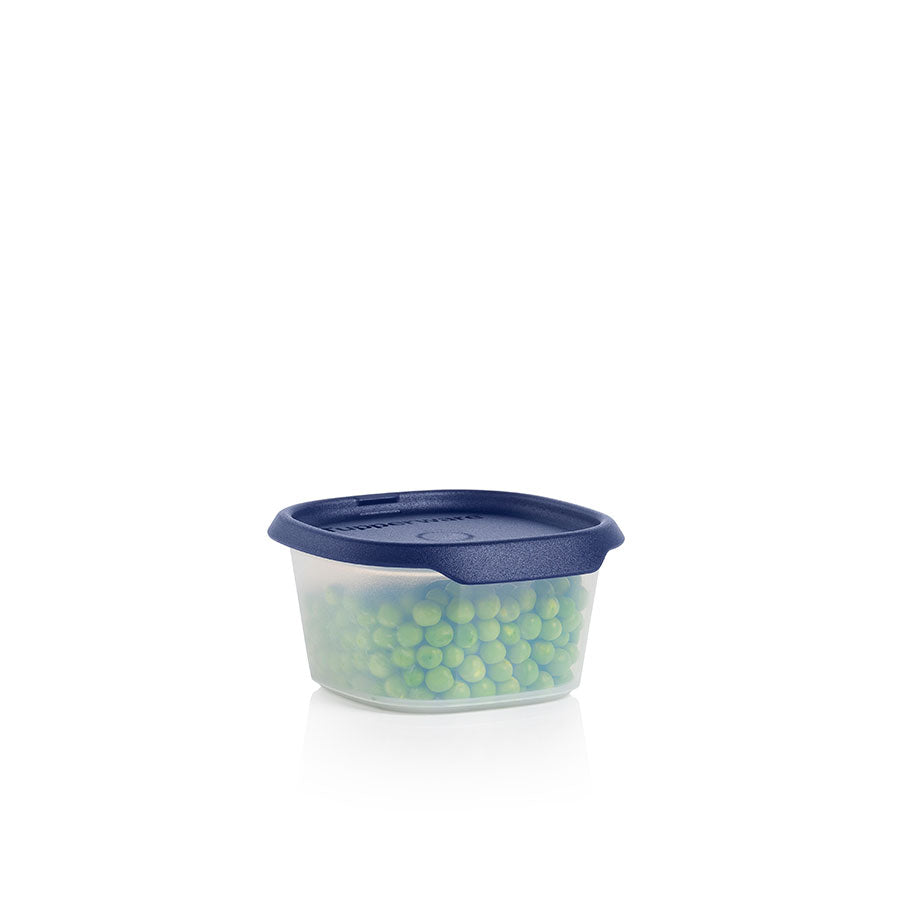 Airtight Food Storage Container 1.5 Cup | One Touch Fresh™