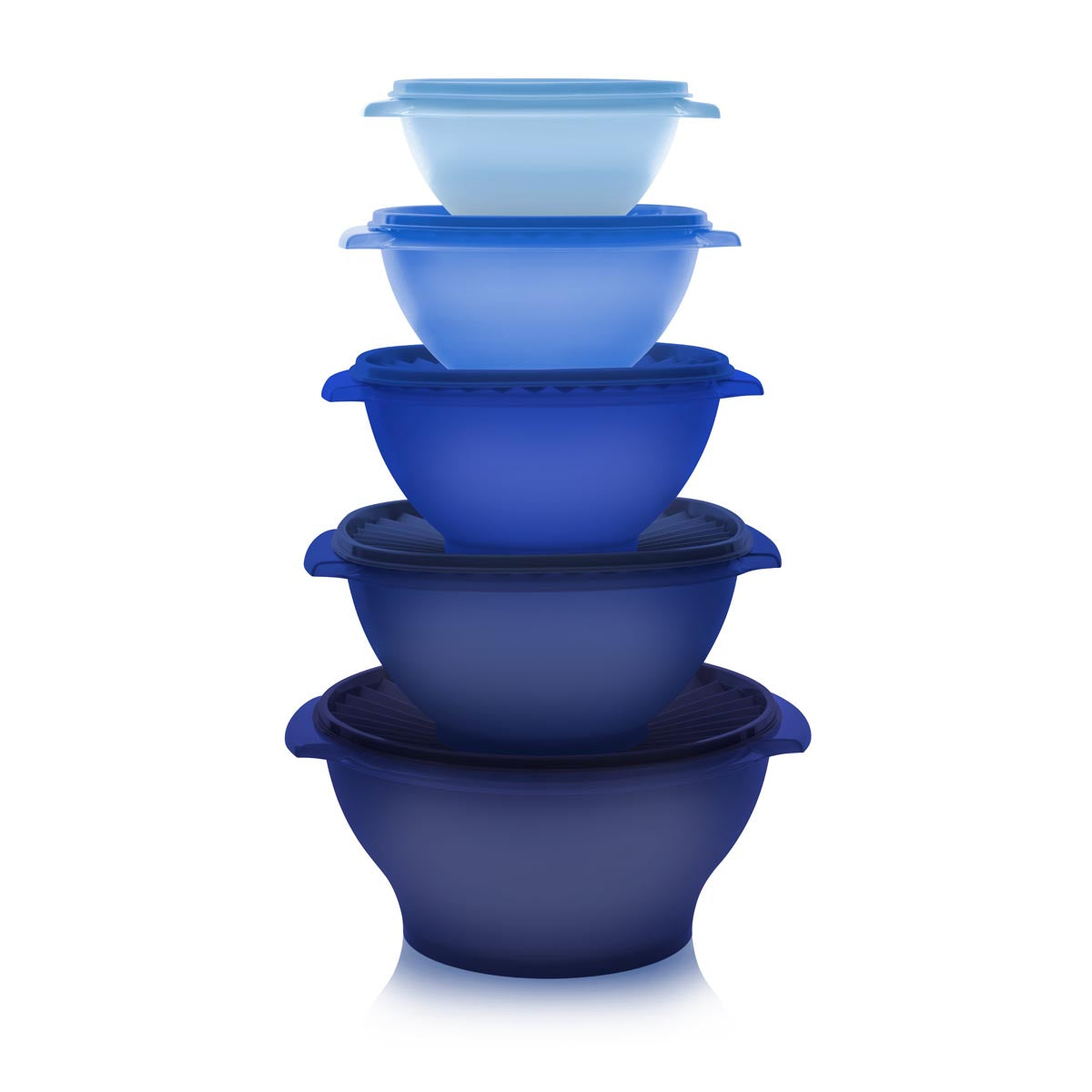 5-Piece Airtight Food Storage Bowls with Lids | Servalier®