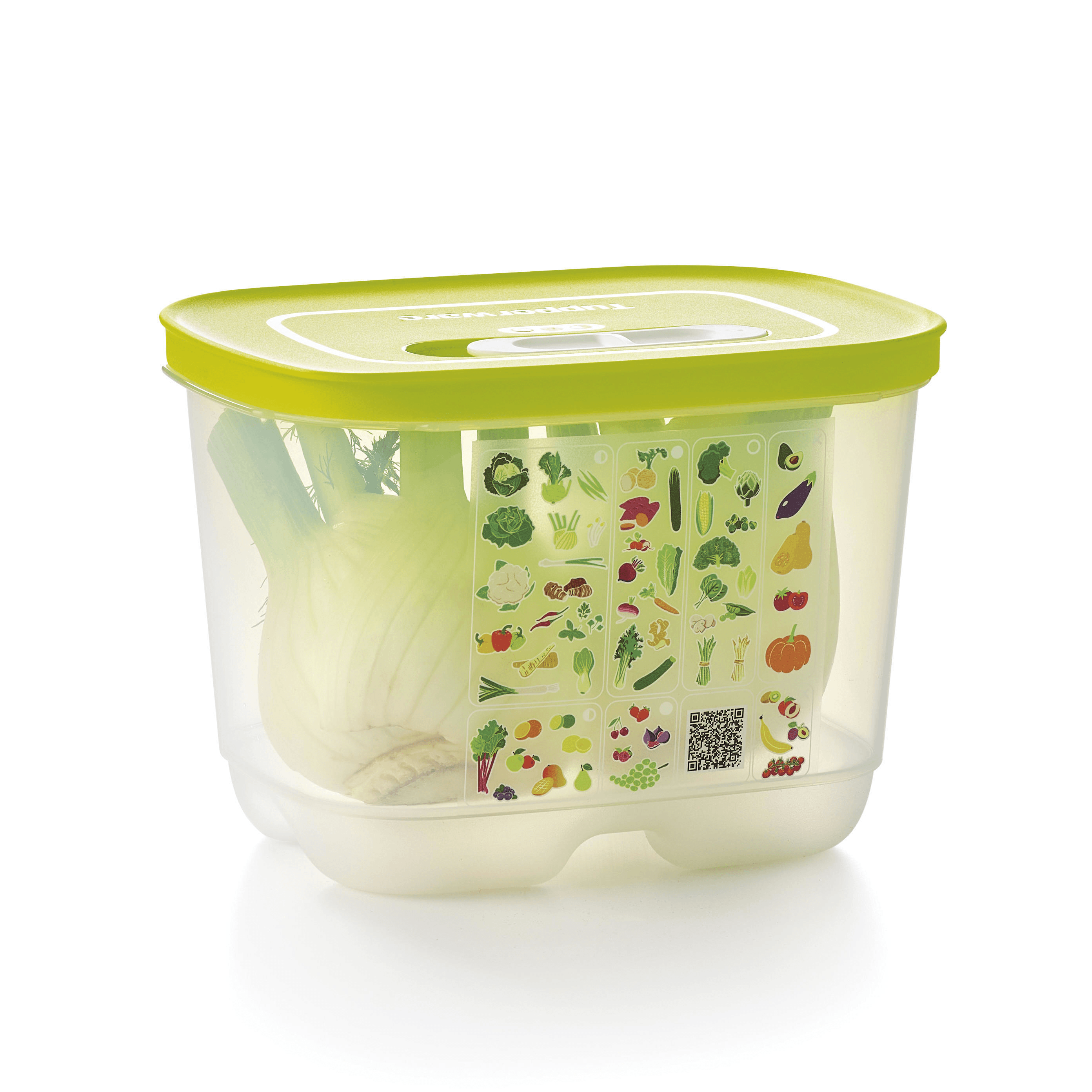 Freshness-Preserving Food Container for Fruits & Vegetables | FridgeSmart® Small Deep