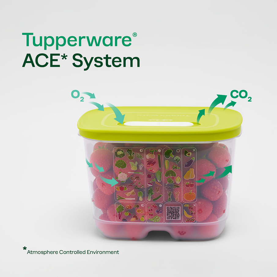 Freshness-Preserving Food Container for Fruits & Vegetables | FridgeSmart® Small Deep