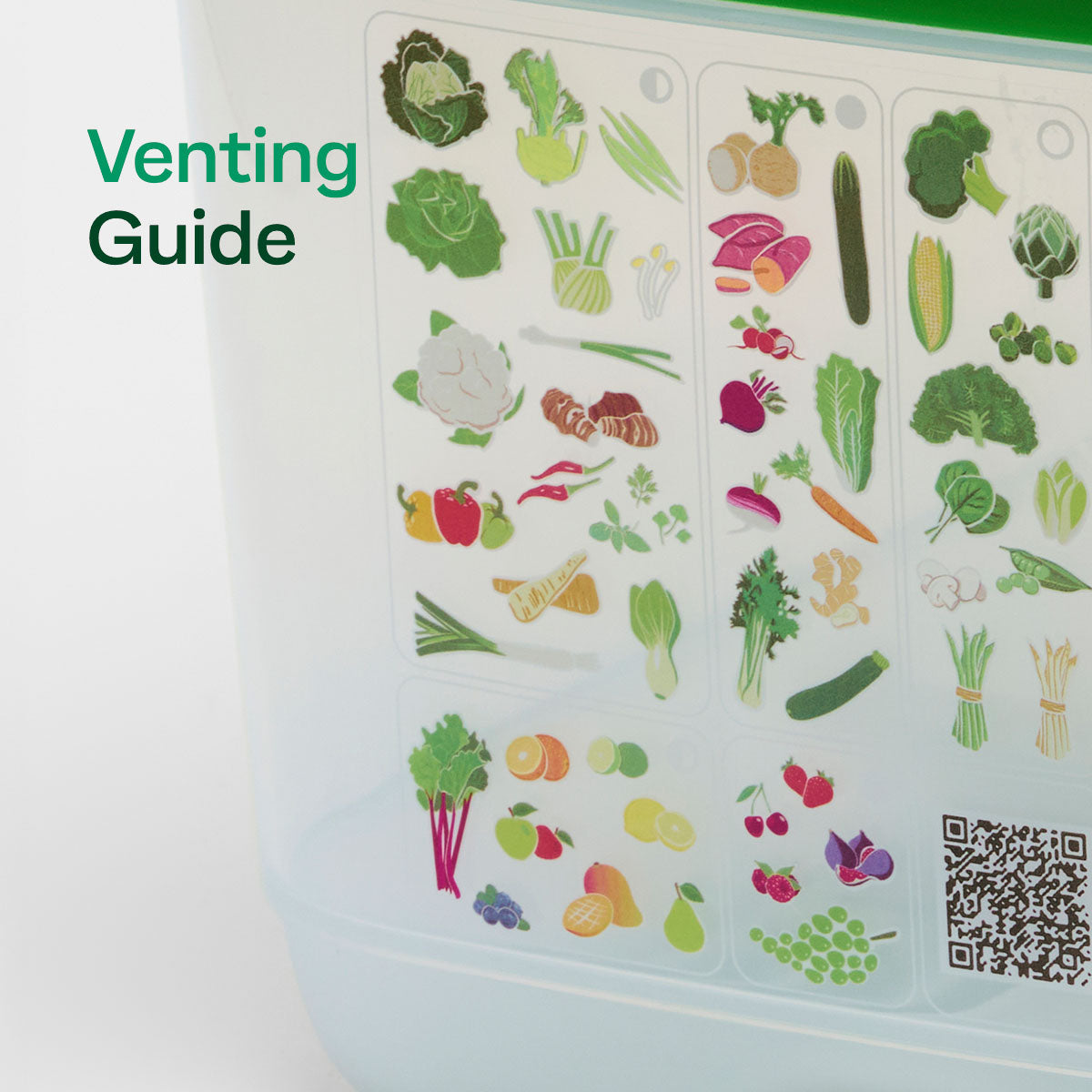 Freshness-Preserving Food Container for Fruits & Vegetables | FridgeSmart® Small Deep