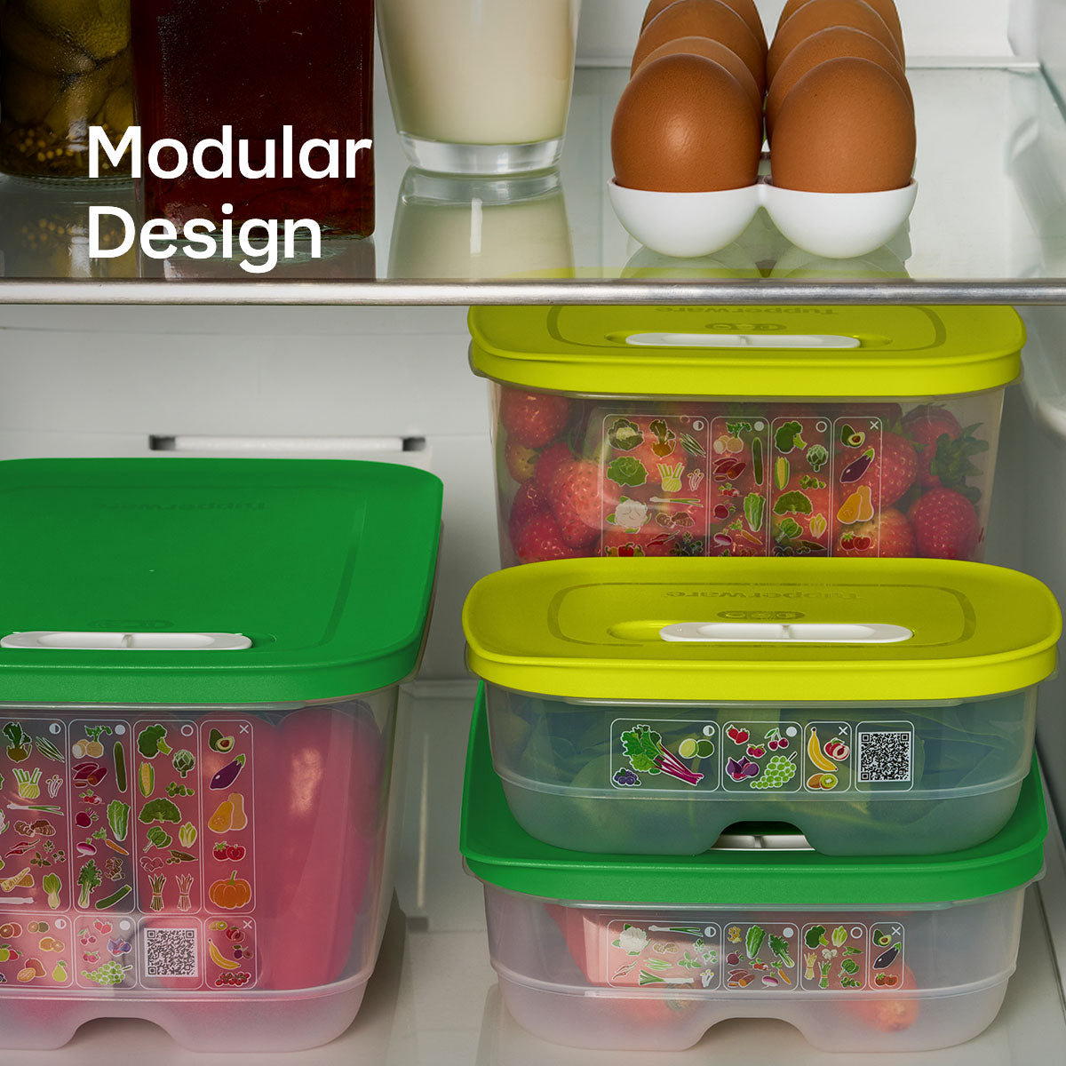 Freshness-Preserving Food Container for Fruits & Vegetables | FridgeSmart® Small Deep