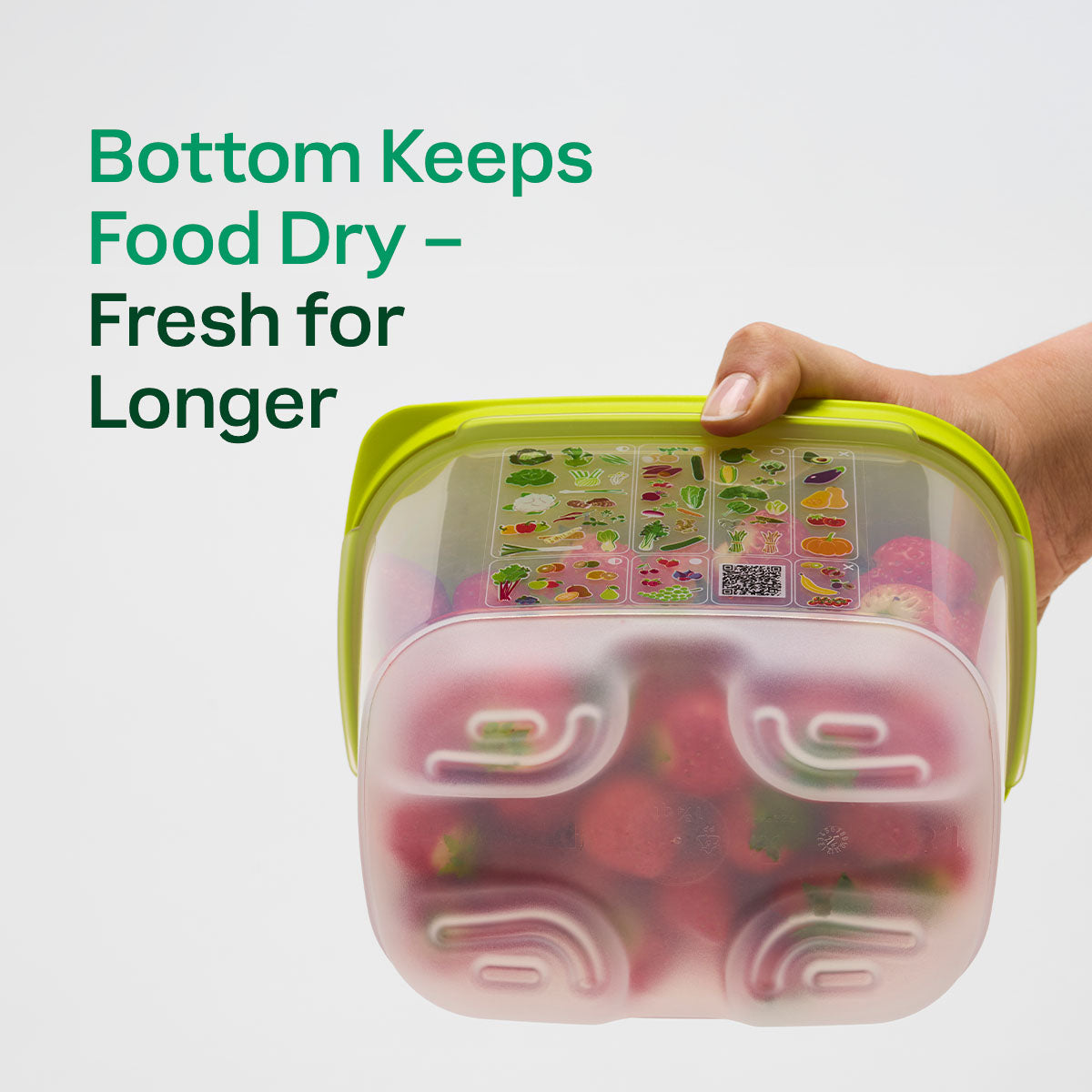 Freshness-Preserving Food Container for Fruits & Vegetables | FridgeSmart® Small Deep