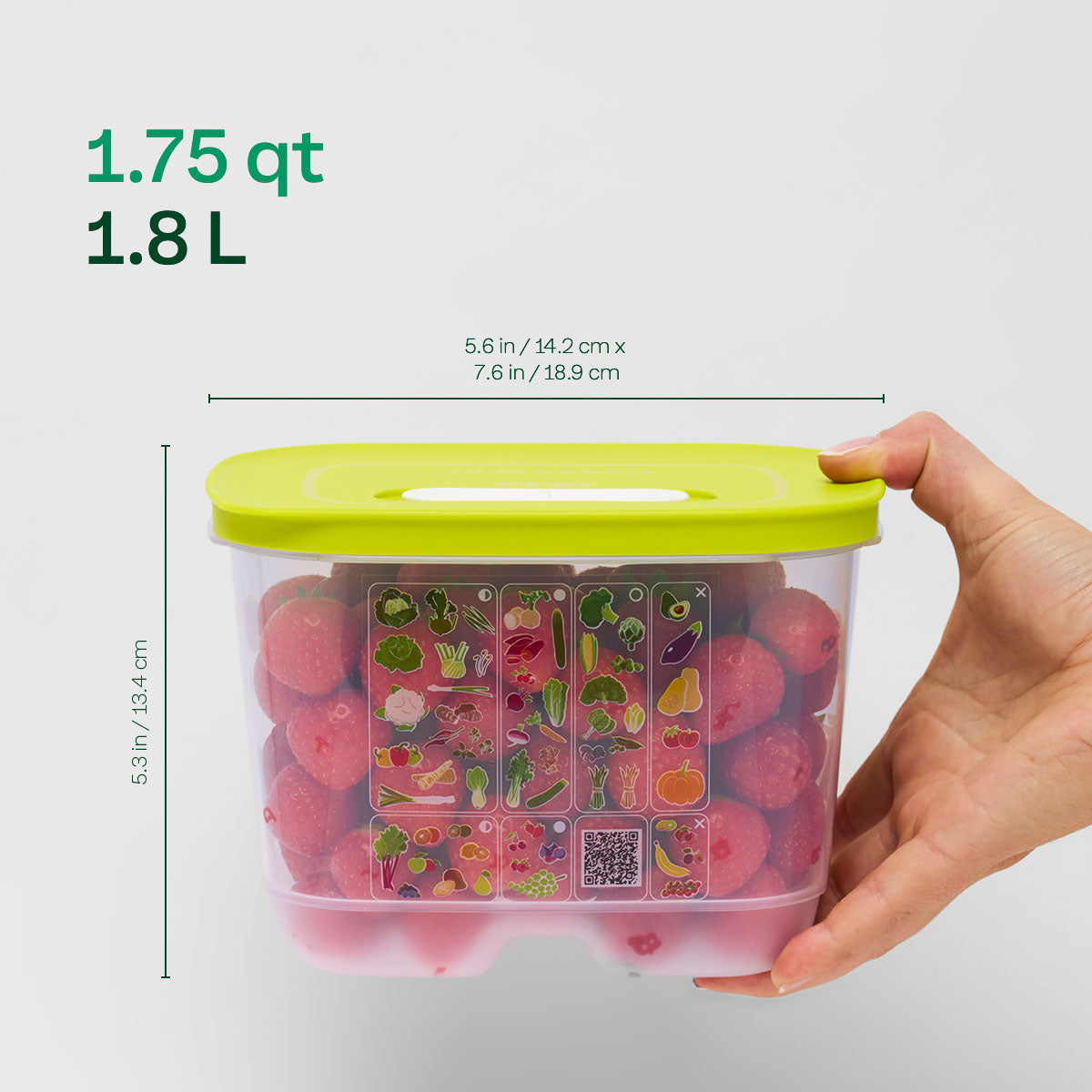 Freshness-Preserving Food Container for Fruits & Vegetables | FridgeSmart® Small Deep