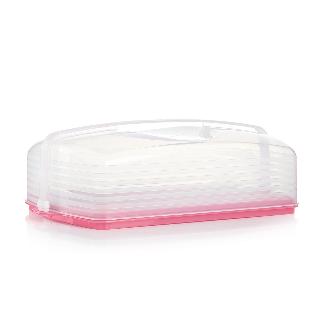 Rectangular Cake Taker for Cakes & Cupcakes with Secure Handle | Icelandic Mist
