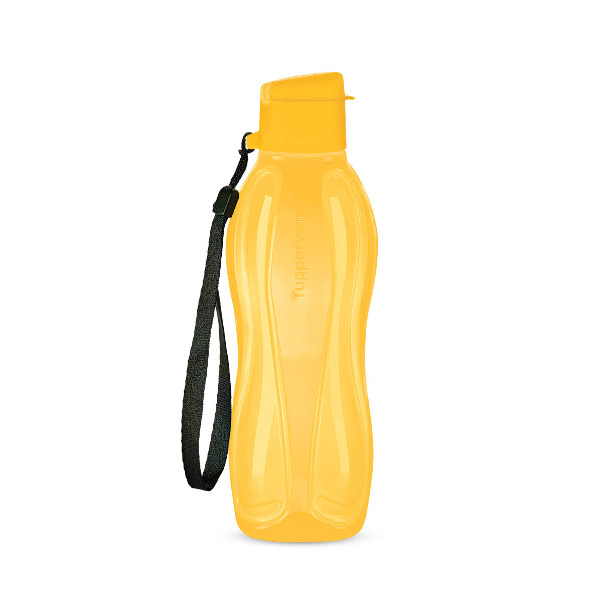Leak Proof Eco Bottle 16oz with Strap | Reusable & Dishwasher Safe