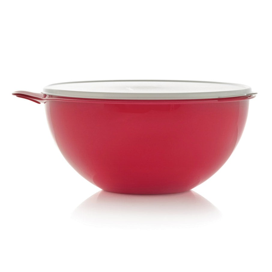32-Cup Leak Proof Mixing Bowl with Airtight Lid | Thatsa® Bowl