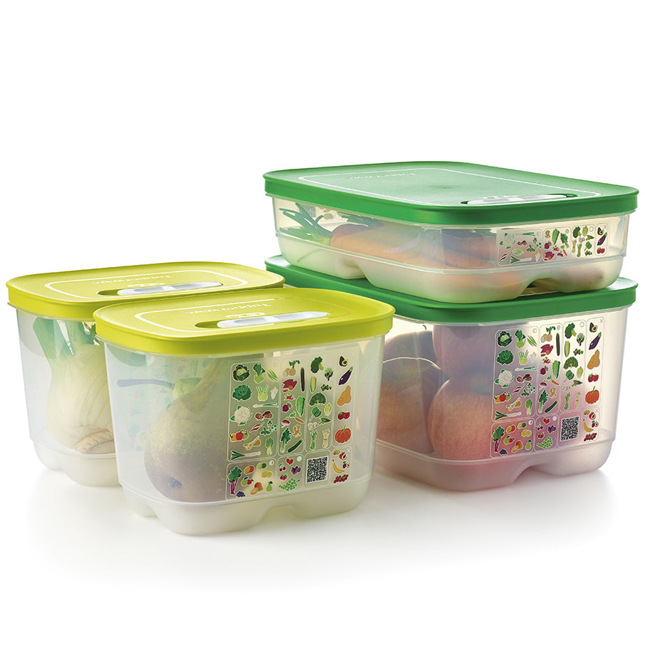 Smart Food Storage Containers for Fresh Vegetables | FridgeSmart 4-Piece Set
