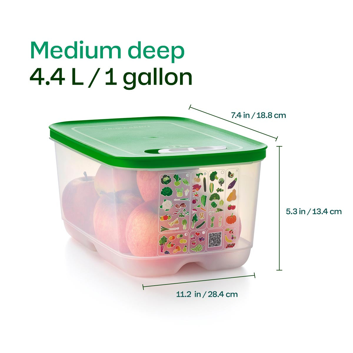 Smart Food Storage Containers for Fresh Vegetables | FridgeSmart 4-Piece Set