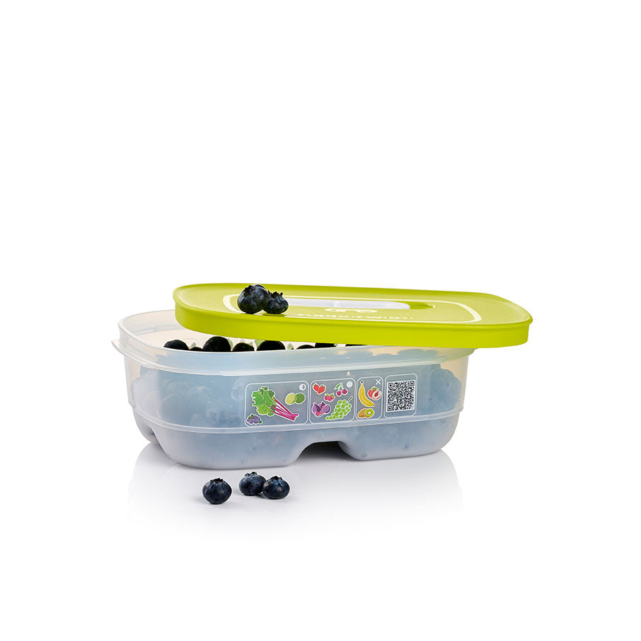 Freshness-Preserving Food Container for Fruits & Vegetables | FridgeSmart® Small