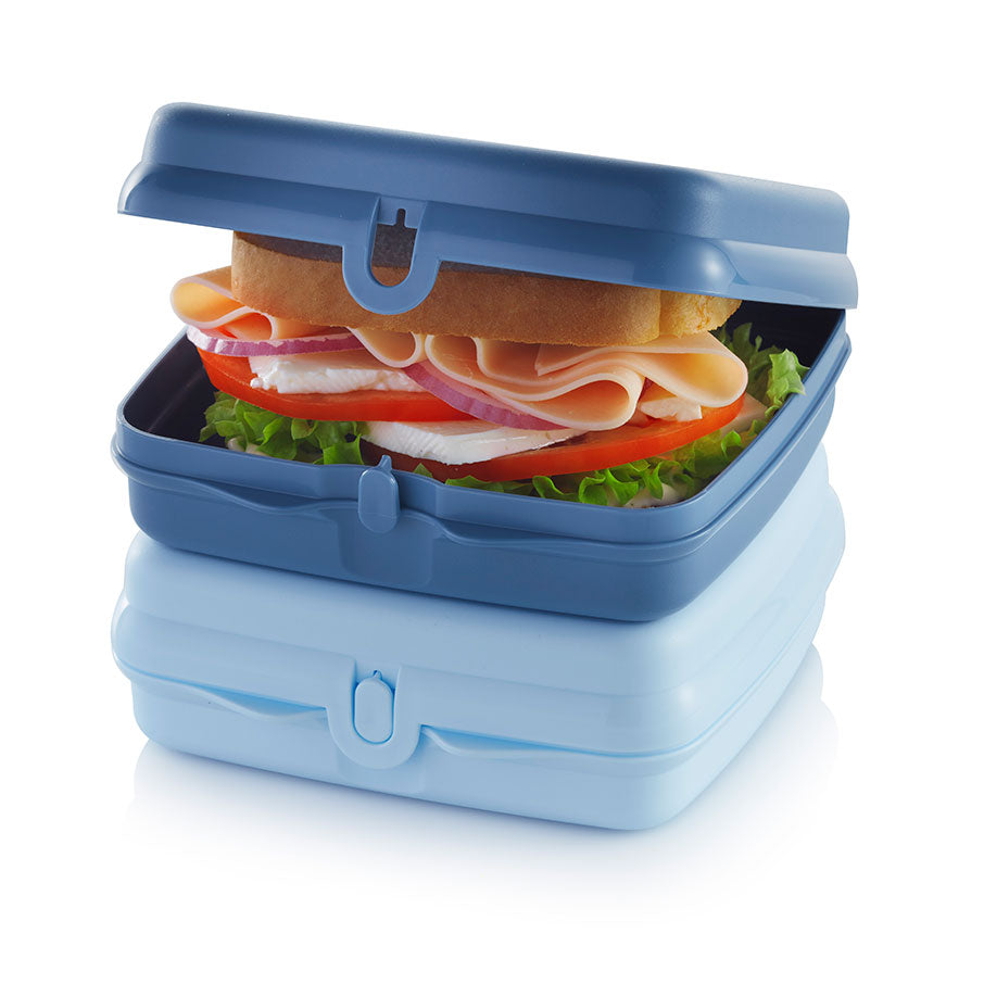 Eco-Friendly Sandwich Containers for Lunch | Smush-Free & Reusable | Eco+