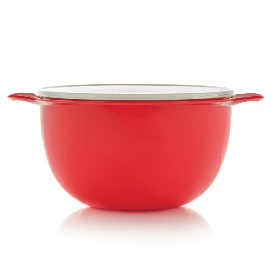 Extra Large 42-Cup Mixing Bowl with Leak-Proof Lid | Thatsa® Mega Bowl