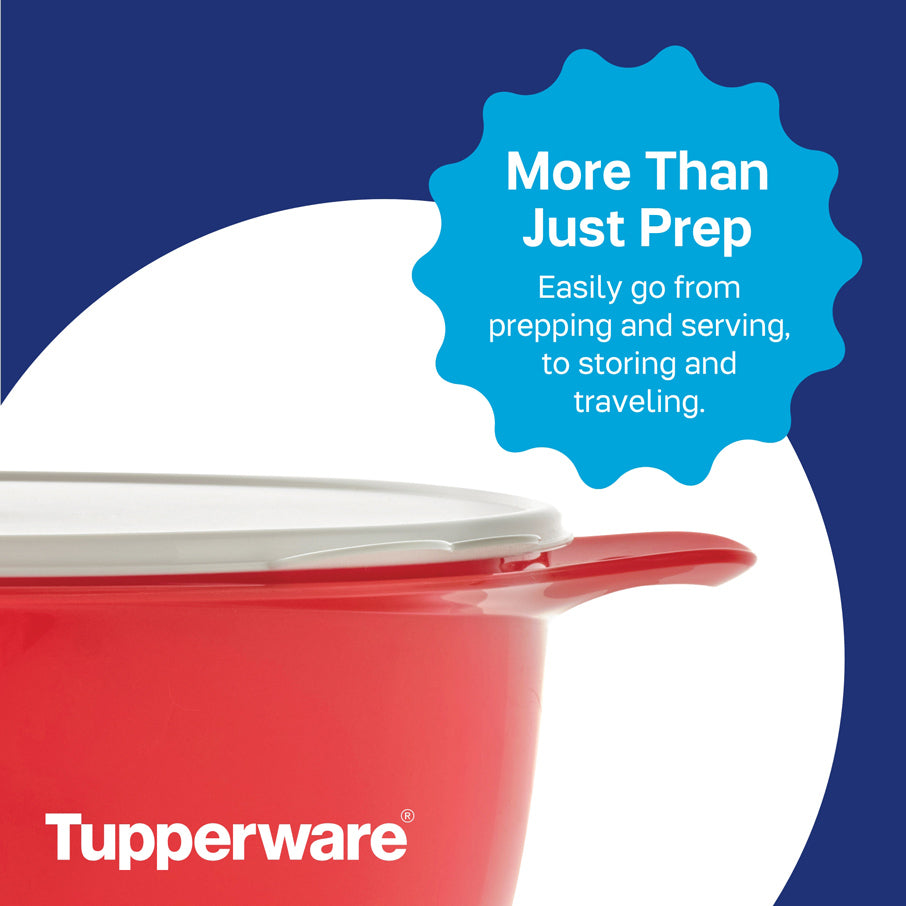 Extra Large 42-Cup Mixing Bowl with Leak-Proof Lid | Thatsa® Mega Bowl