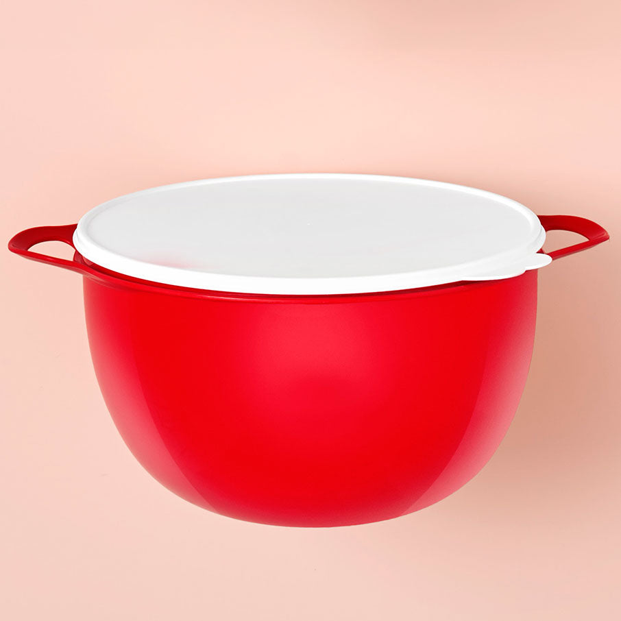 Extra Large 42-Cup Mixing Bowl with Leak-Proof Lid | Thatsa® Mega Bowl