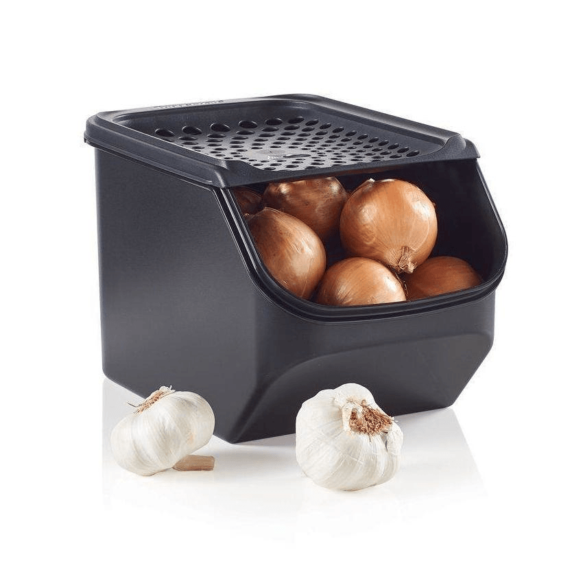 Onion & Garlic Storage Container with Ventilated Lid | Smart™ Fresh Keeper