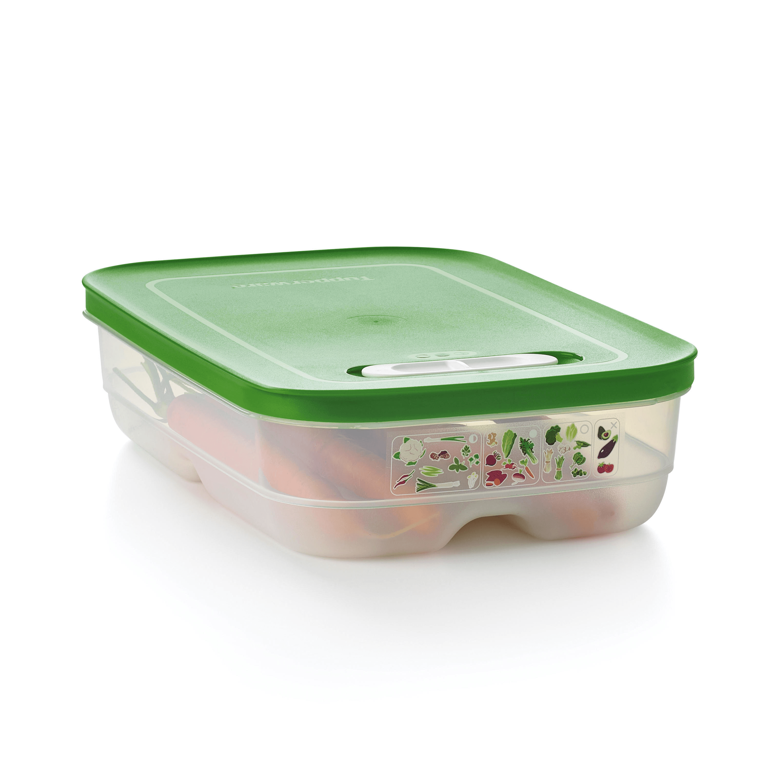 Freshness Extender Container for Fruits & Vegetables | FridgeSmart® Medium