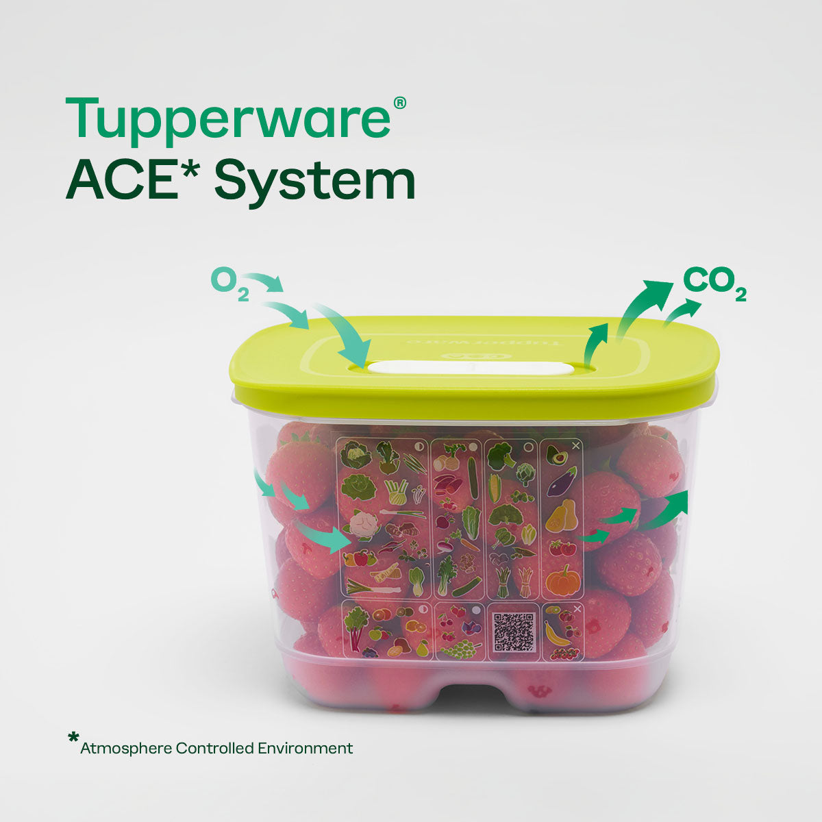 Freshness-Producing Food Storage Containers | FridgeSmart®