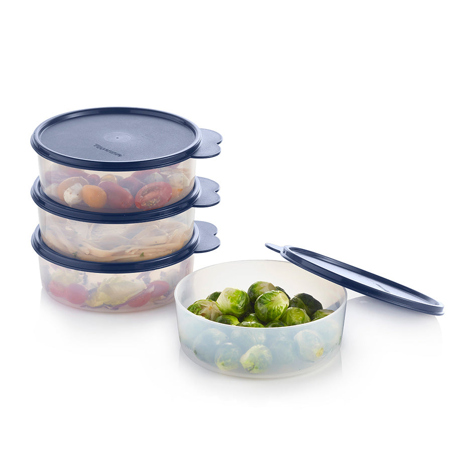 Leakproof Storage Bowls with Seals for Food Freshness | Big Wonders